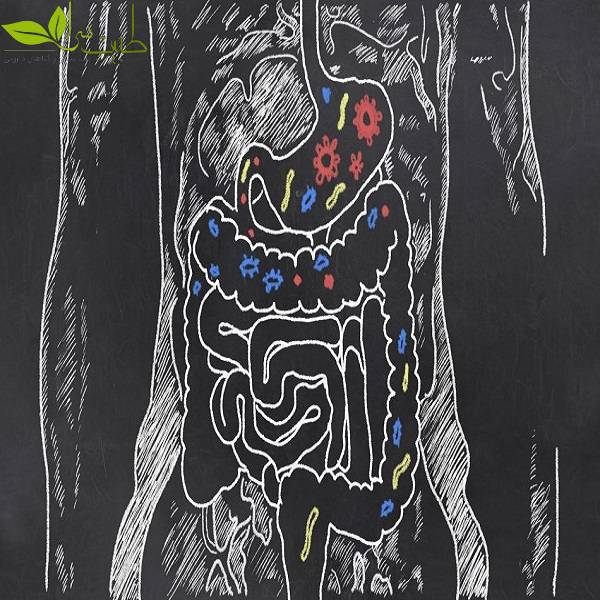 تقویت معده در طب سنتی
